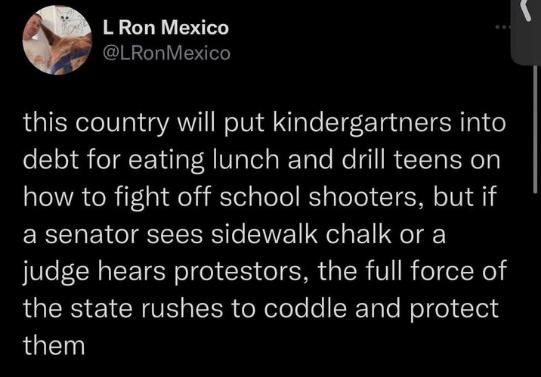 L Ron Mexico 23 LRonMexico this country will put kindergartners into debt for eating lunch and drill teens on how to fight off school shooters but if a senator sees sidewalk chalk or a judge hears protestors the full force of LGRS EN RV CER oNolole e IEToTo Weldel Tl them