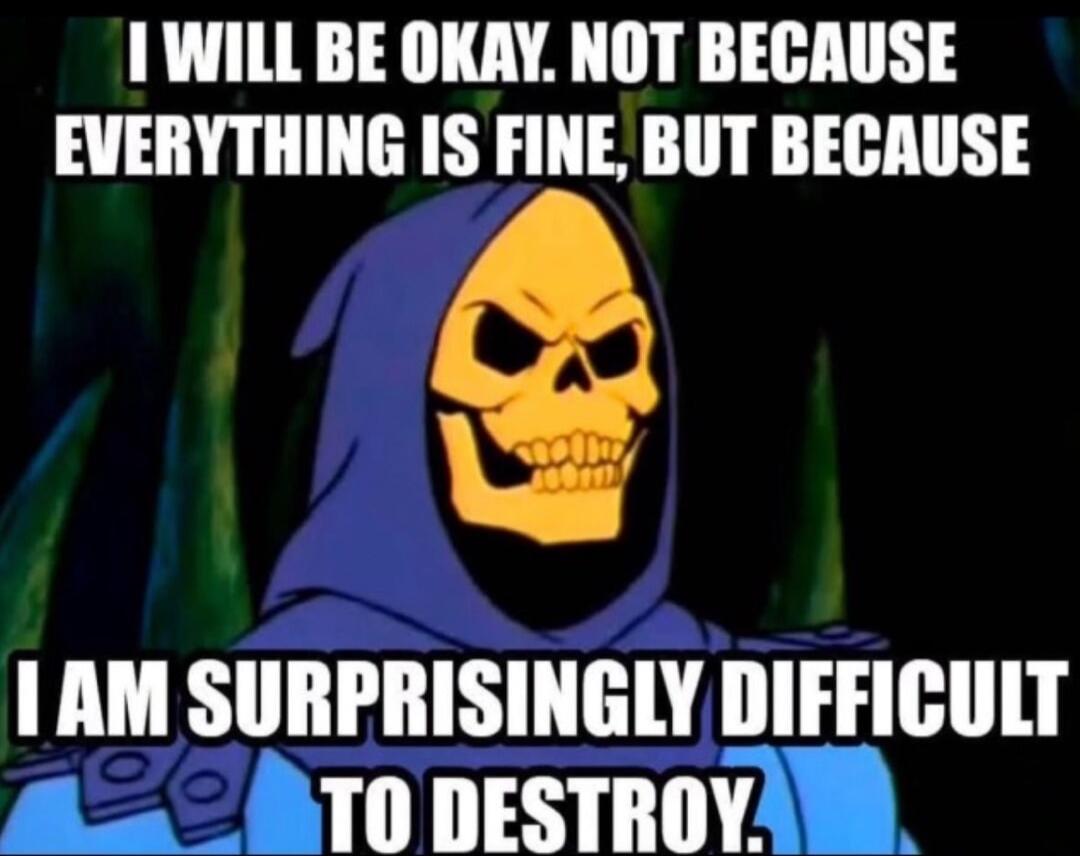 I WILL BE OKAY. NOT BECAUSE EVERYTHING IS FINE, BUT BECAUSE I AM SURPRISINGLY DIFFICULT TO DESTROY.
