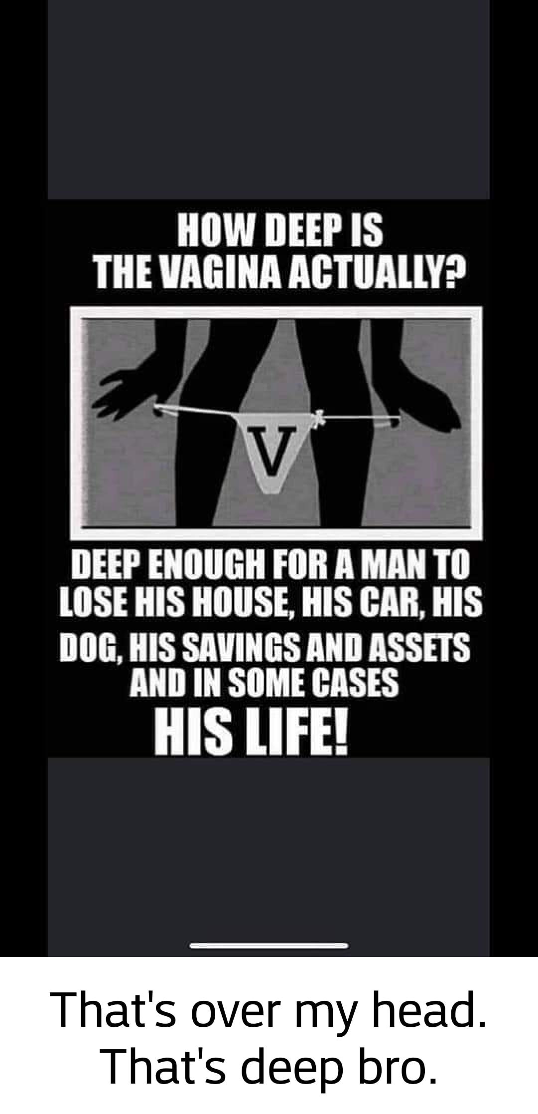 HOW DEEP IS THE UAGINA ACTUALLY DEEP ENOUGH FORAMANTO LOSE HIS HOUSE HIS CAR HIS DOG HIS SAVINGS AND ASSETS UL LR A HIS LIFE Thats over my head Thats deep bro
