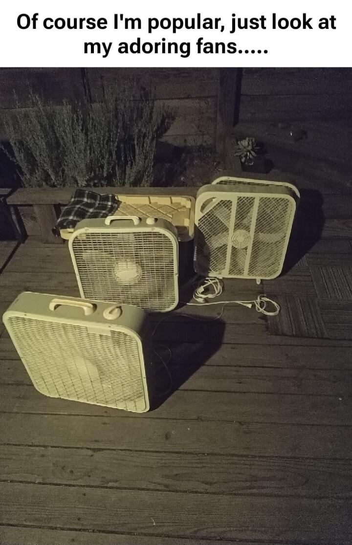 Of course I'm popular, just look at my adoring fans.....