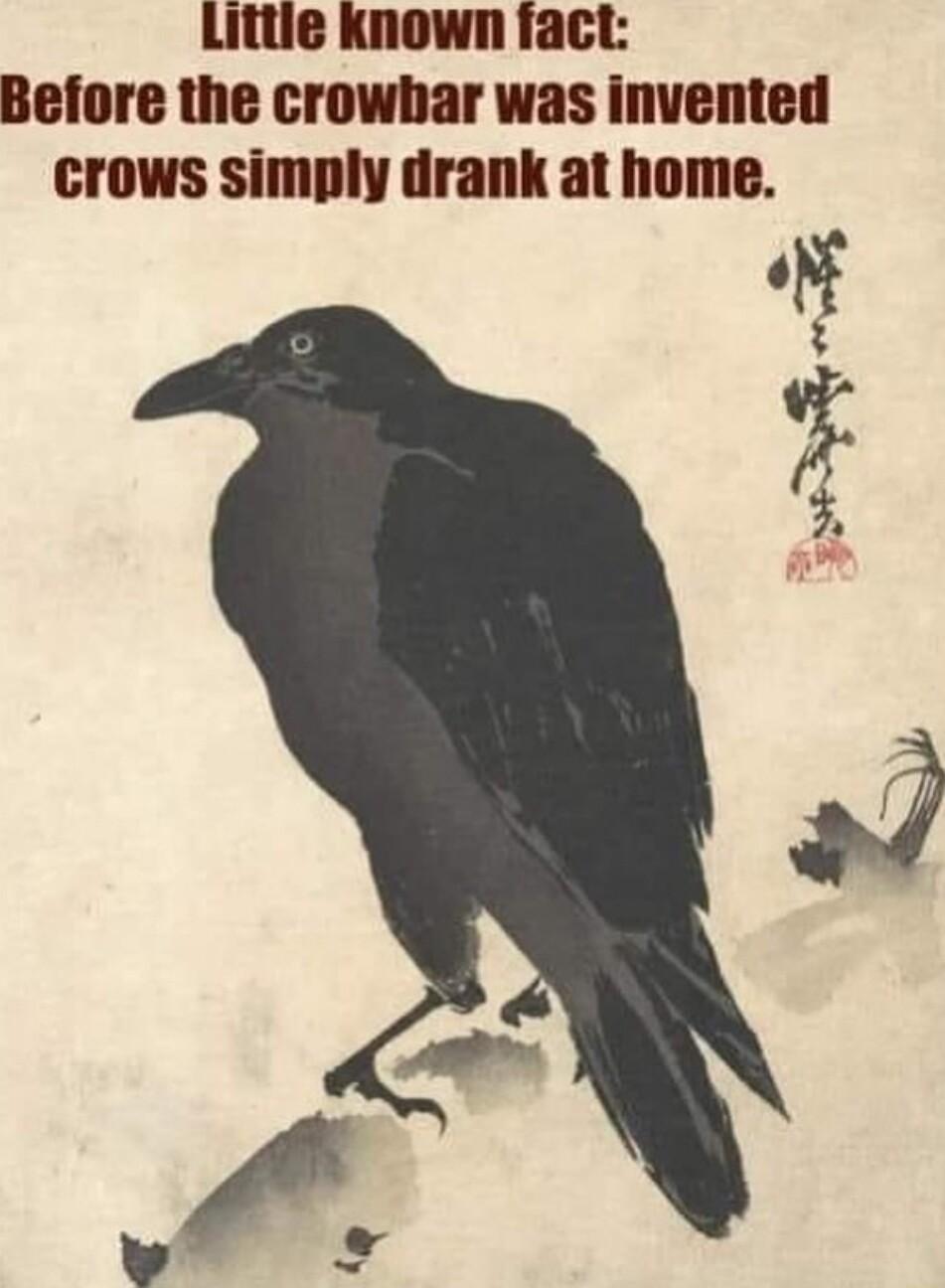 Littie known fact Before the crowbar was invented crows simply drank at home y