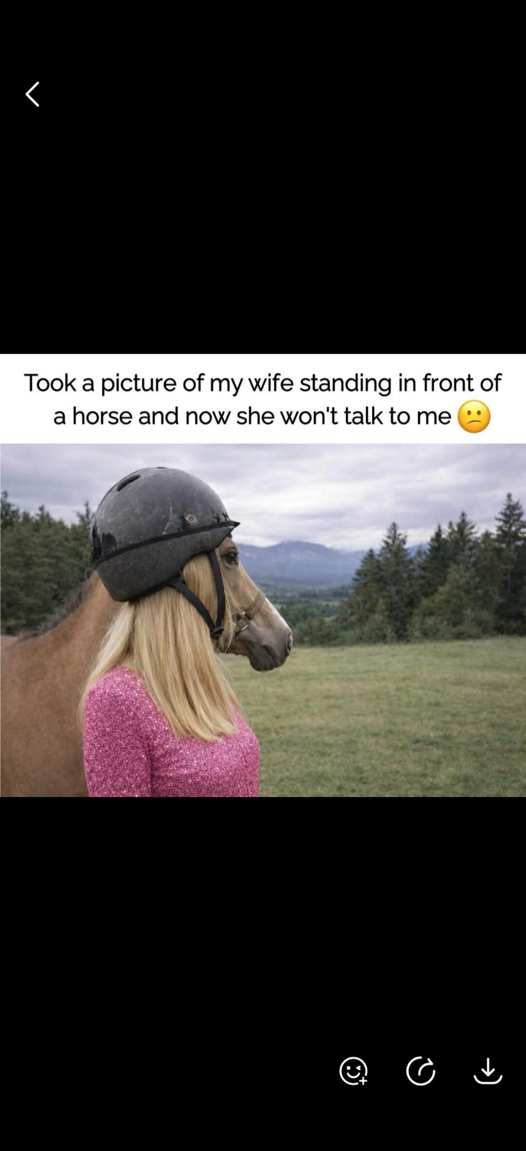 Took a picture of my wife standing in front of a horse and now she won't talk to me 😐