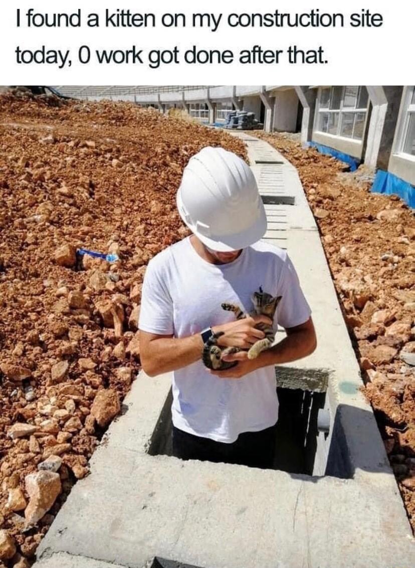 found a kitten on my construction site today 0 work got done after that