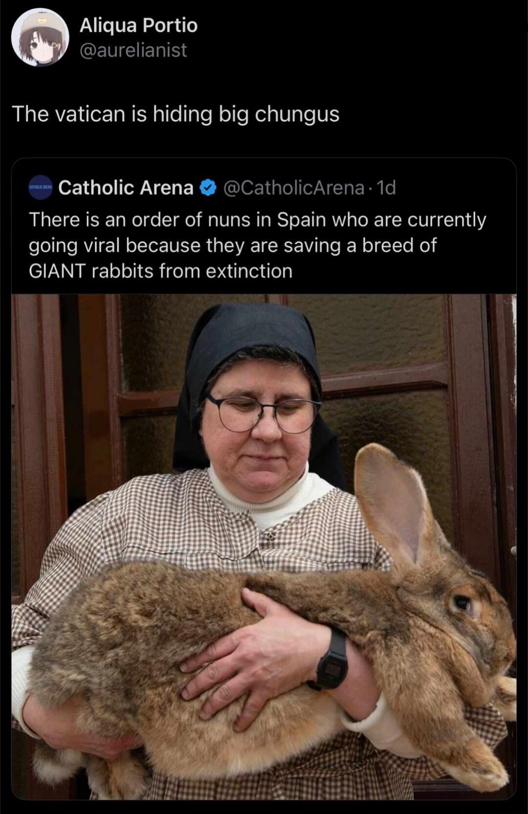 Aliqua Portio @aurelianist The vatican is hiding big chungus Catholic Arena @CatholicArena · 1d There is an order of nuns in Spain who are currently going viral because they are saving a breed of GIANT rabbits from extinction