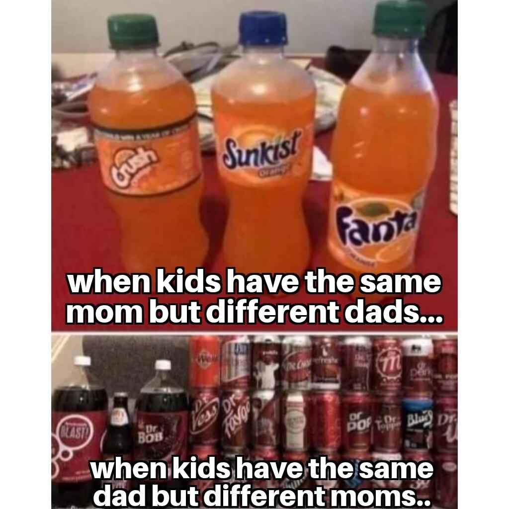 when kids have the same mom but different dads whenkids have the same dad but different moms