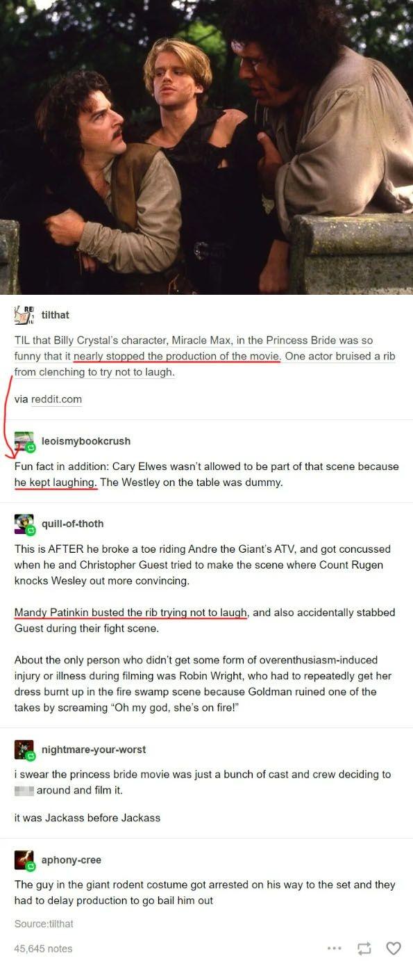 tithat Miracle Maxin the Princess B One TIL that Billy Crystals char was so iny that it pearly from clenching 1o try not o laugh o bruised a ib via redditcom B ecsmypookcrsn Fun fact in addition Cary Elwes wasnt allowsd to be part of that scene because he kept laughing The Wastioy on the tablo was dummy T cuntottnom This is AFTER ho broke a toe riding Andr the Giants ATV and got concussed when he 