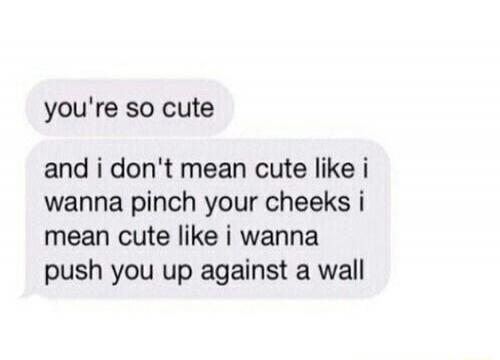 you're so cute and i don't mean cute like i wanna pinch your cheeks i mean cute like i wanna push you up against a wall