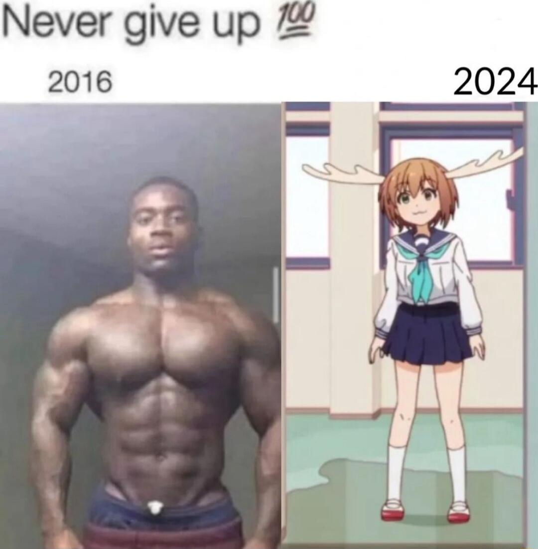 Never give up 2016