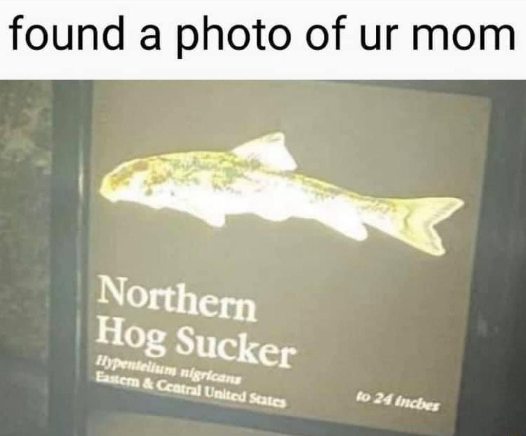 found a photo of ur mom