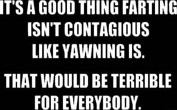ITS A GOOD THING FARTING ISNT CONTAGIOUS LIKE YAWNING IS THAT WOULD BE TERRIBLE FOR EVERYBODY