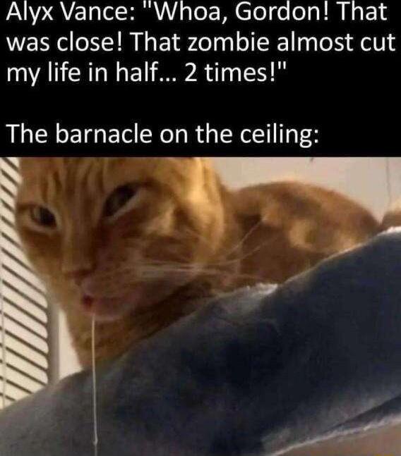 Alyx Vance Whoa Gordon That was close That zombie almost cut my life in half 2 times The barnacle on the ceiling o l