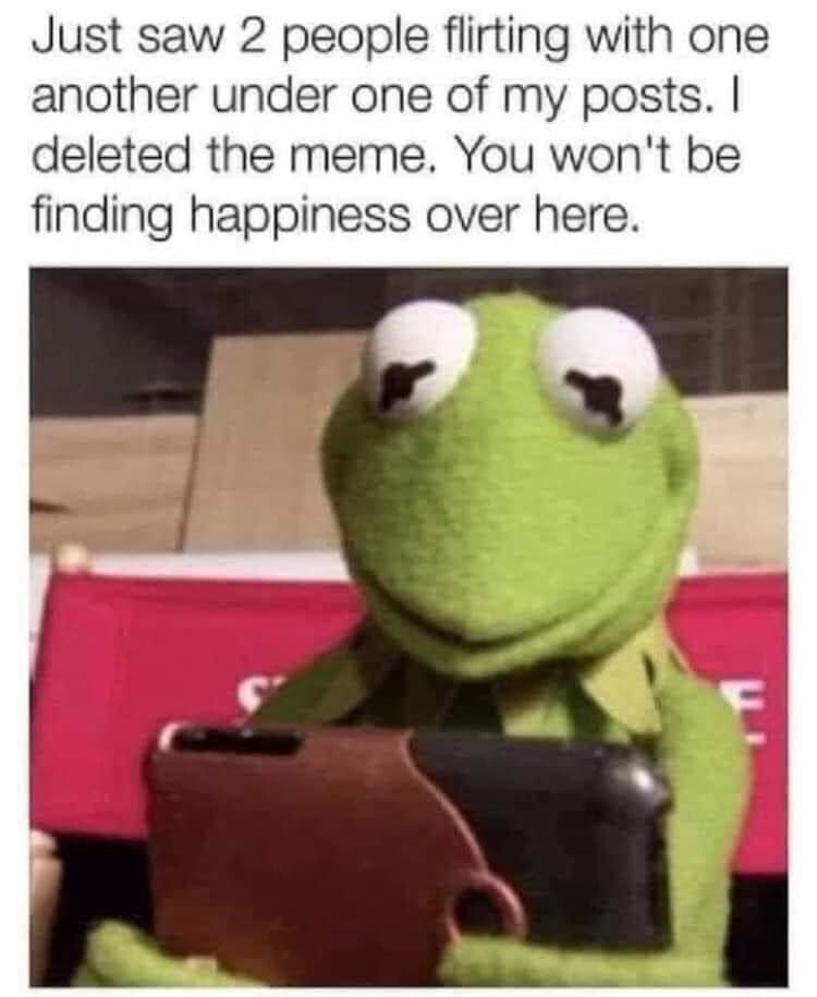 Just saw 2 people flirting with one another under one of my posts deleted the meme You wont be finding happiness over here