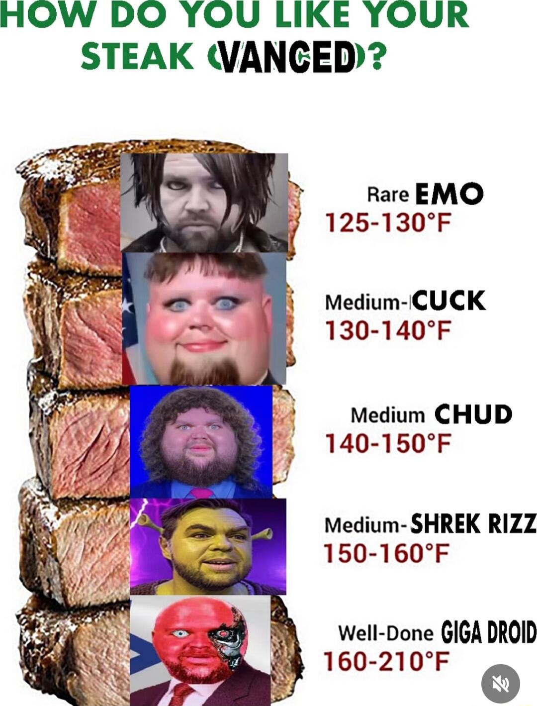 HOW DO YOU LIKE YOUR STEAK WANCED Medium CUCK 130 140F Medium CHUD 140 150F Medium SHREK RIZZ 150 160F Well Done GIGA DROID 160 210F o