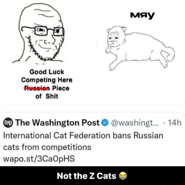 mMay Good Luck Competing Here Ruosien Piece of Shit The Washington Post International Cat Federation bans Russian cats from competitions wapost3CaOpHS Not the Z Cats ashingt 14h