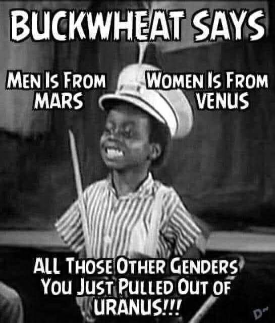 BUCKWHEAT SAYS MEN IS FROM MARS WOMEN IS FROM VENUS ALL THOSE OTHER GENDERS YOU JUST PULLED OUT OF URANUS!!!!