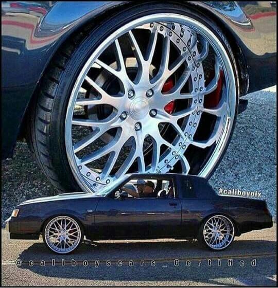 #caliboypix @caliboyscars_certified