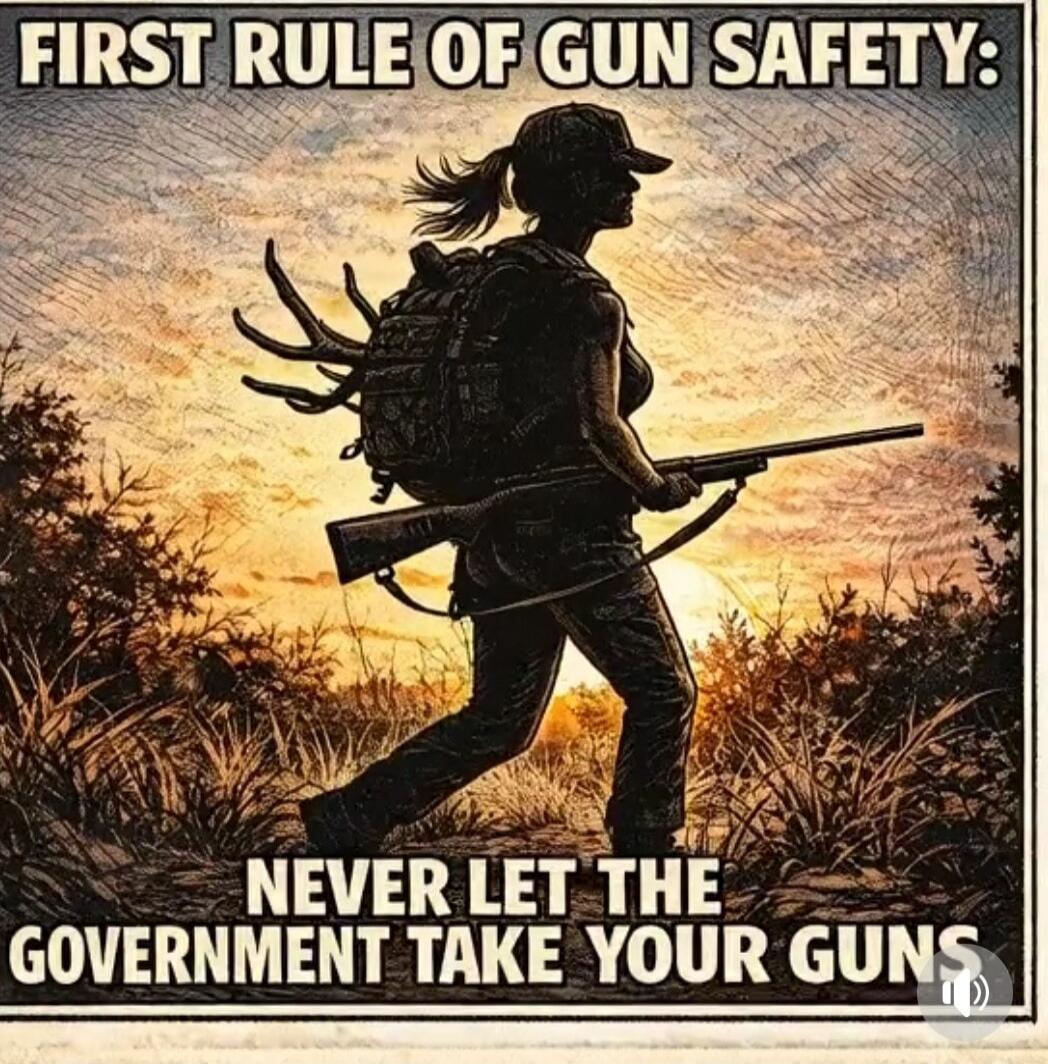 FIRST RULE OF GUN SAFETY: NEVER LET THE GOVERNMENT TAKE YOUR GUNS