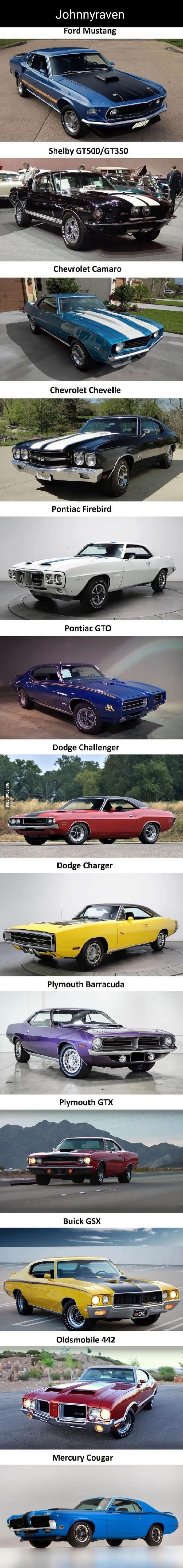 Johnnyraven
Ford Mustang
Shelby GT500/GT350
Chevrolet Camaro
Chevrolet Chevelle
Pontiac Firebird
Pontiac GTO
Dodge Challenger
Dodge Charger
Plymouth Barracuda
Plymouth GTX
Buick GSX
Oldsmobile 442
Mercury Cougar