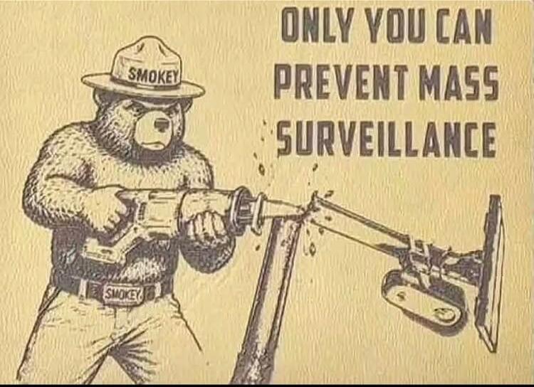 ONLY YOU CAN PREVENT MASS SURVEILLANCE. SMOKEY