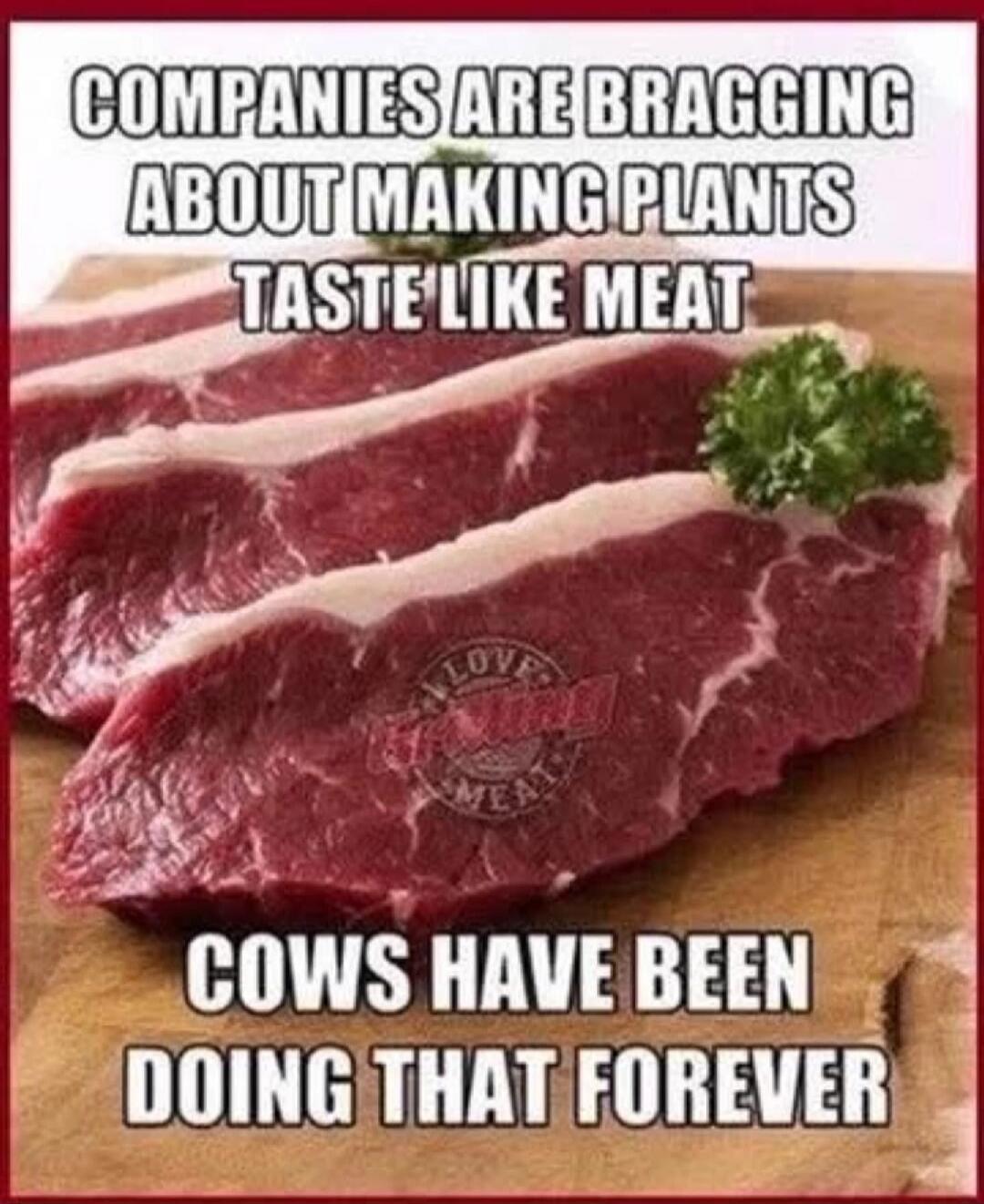 COMPANIES ARE BRAGGING ABOUT MAKING PLANTS TASTE LIKE MEAT. COWS HAVE BEEN DOING THAT FOREVER.