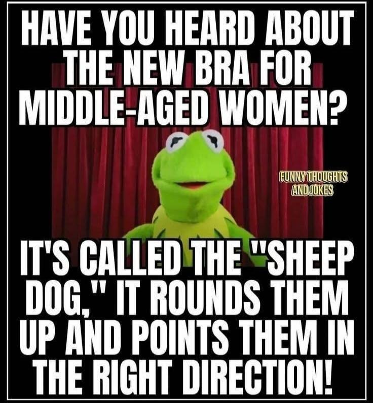 HAVE YOU HEARD ABOUT THE NEW BRA FOR MIDDLE-AGED WOMEN? IT'S CALLED THE 