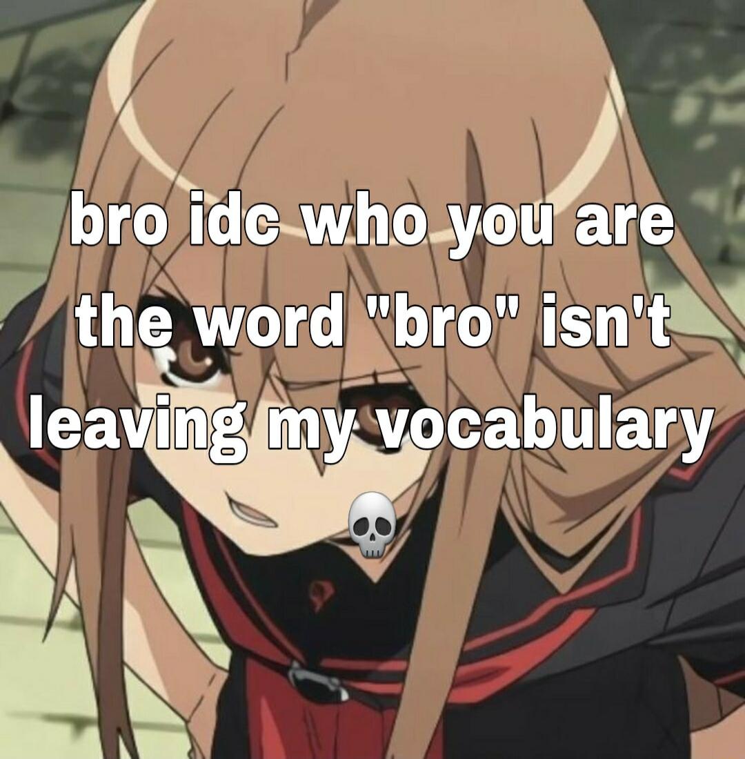 ST broide whoyeufare the word bro isn t