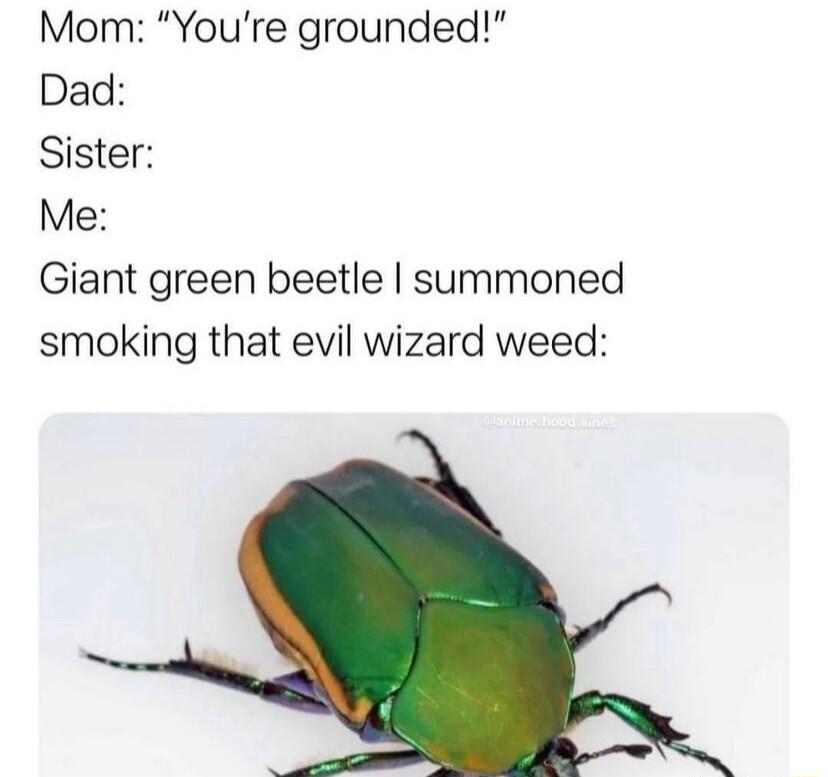 Mom Youre grounded Dad Sister Me Giant green beetle summoned smoking that evil wizard weed