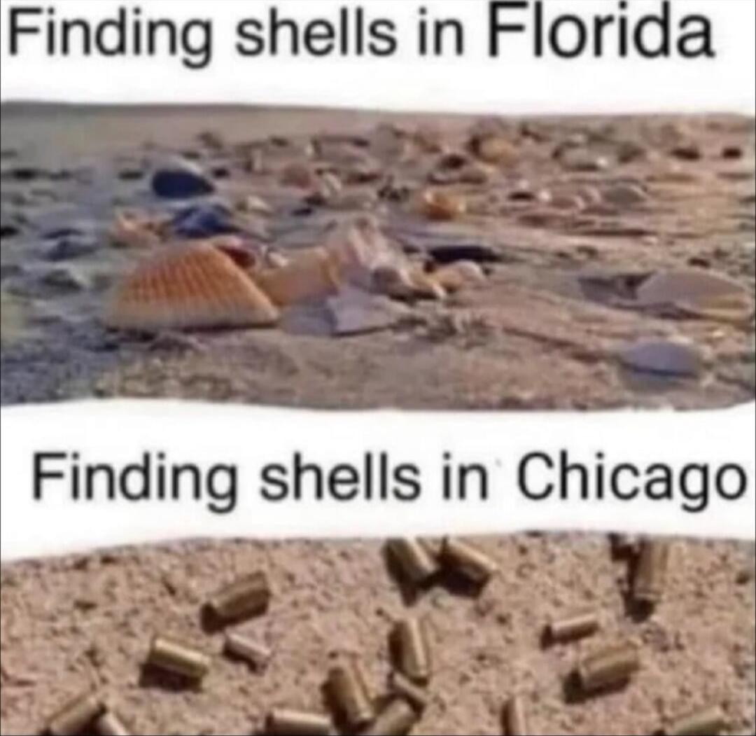 Finding shells in Florida
Finding shells in Chicago