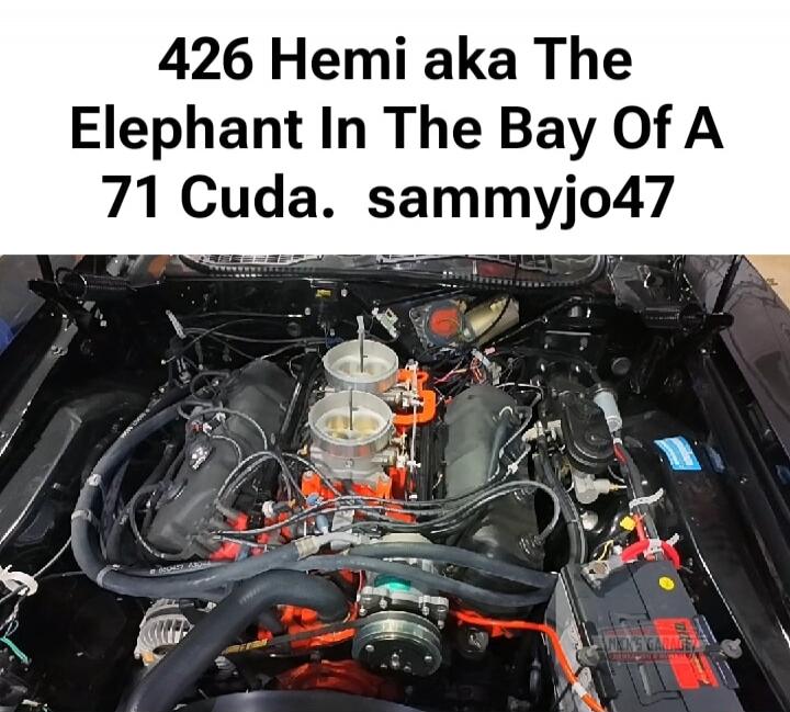 426 Hemi aka The Elephant In The Bay Of A 71 Cuda. sammyjo47
