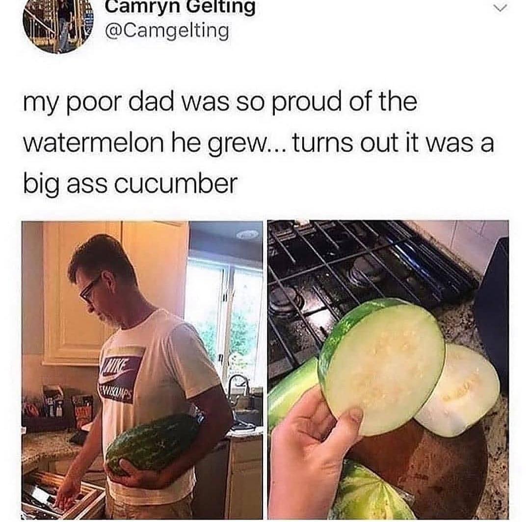 Lamryn Geiting ecomgeting my poor dad was so proud of the watermelon he grew turns out it was a big ass cucumber h N