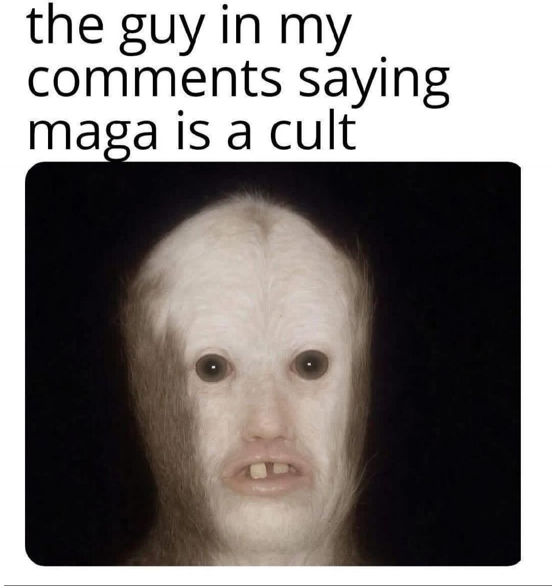 the guy in my comments saying maga is a cult