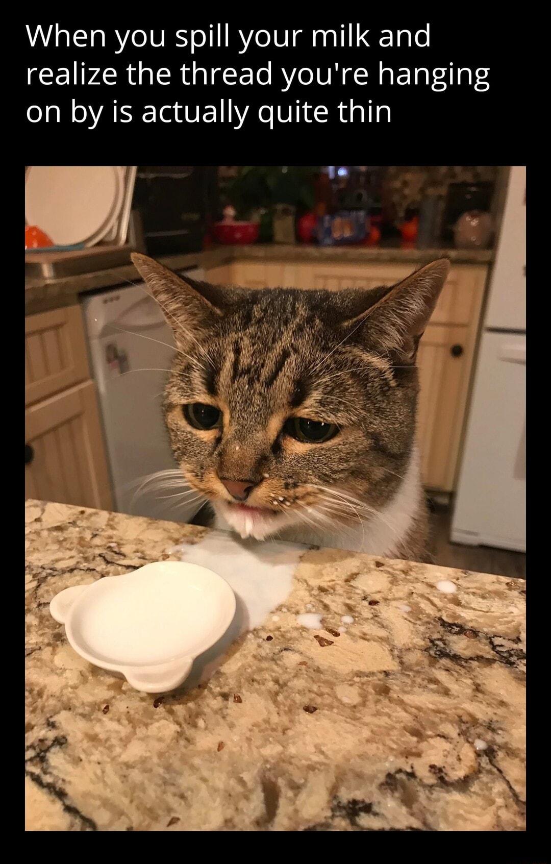 When you spill your milk and CEIPAR G R g Te RV VN N ETat1a4 on by is actually quite thin