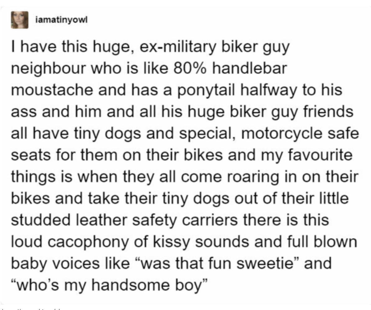 iamatinyowl have this huge ex military biker guy neighbour who is like 80 handlebar moustache and has a ponytail halfway to his ass and him and all his huge biker guy friends all have tiny dogs and special motorcycle safe seats for them on their bikes and my favourite things is when they all come roaring in on their bikes and take their tiny dogs out of their little studded leather safety carriers