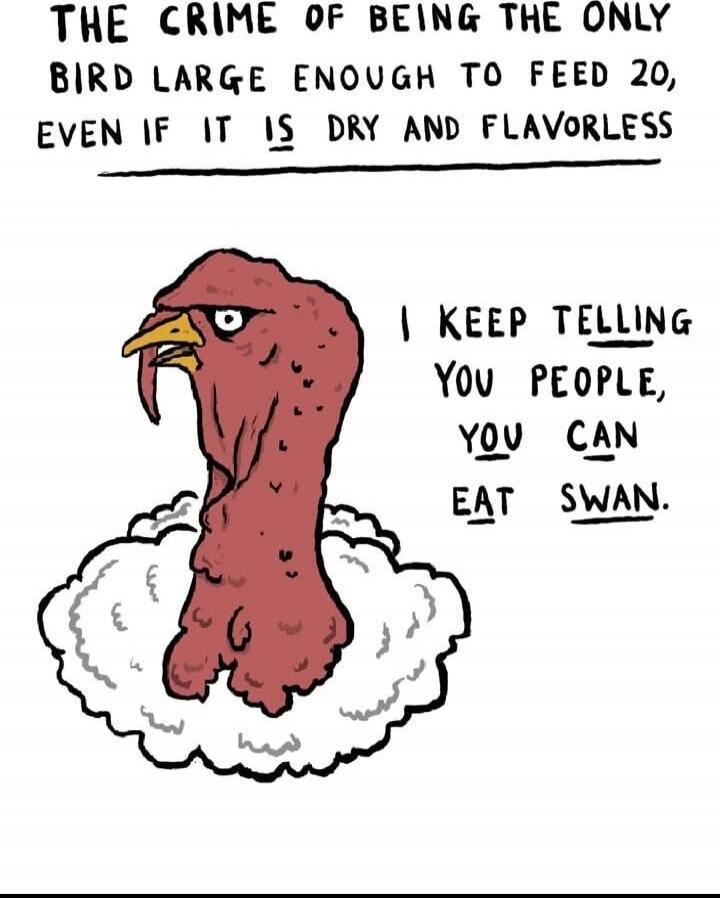 THE CRIME OF BEING THE ONLY BIRD LARGE ENOUGH TO FEED 20, EVEN IF IT IS DRY AND FLAVORLESS I KEEP TELLING YOU PEOPLE, YOU CAN EAT SWAN.