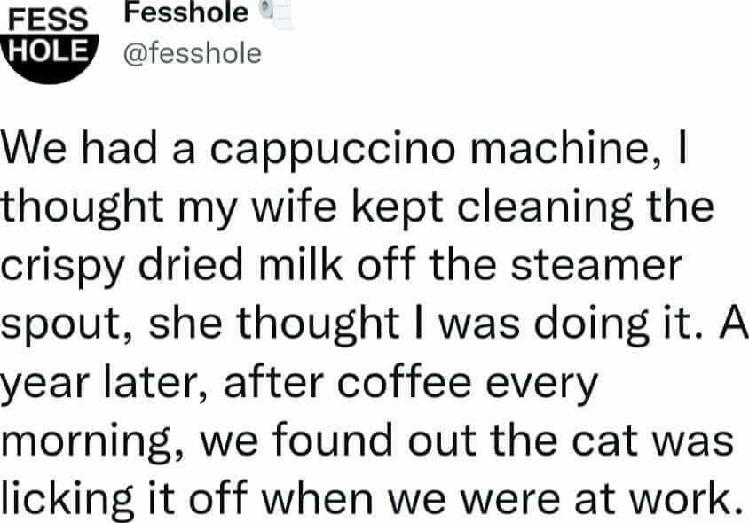 FESS Fesshole fesshole We had a cappuccino machine thought my wife kept cleaning the crispy dried milk off the steamer spout she thought was doing it A year later after coffee every morning we found out the cat was licking it off when we were at work