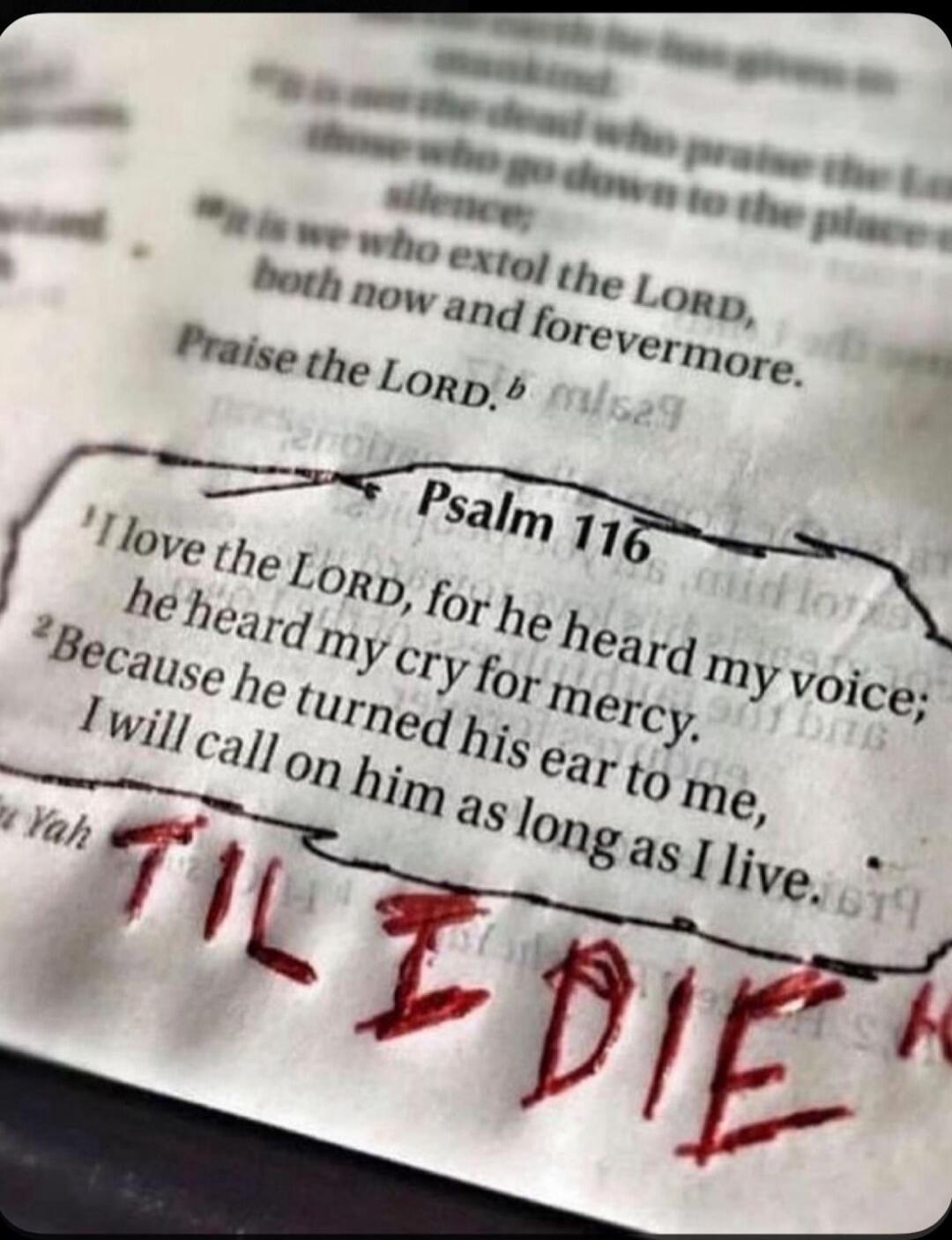 Praise the LORD. Psalm 116. I love the LORD, for he heard my voice; he heard my cry for mercy. Because he turned his ear to me, I will call on him as long as I live. TIL I DIE.