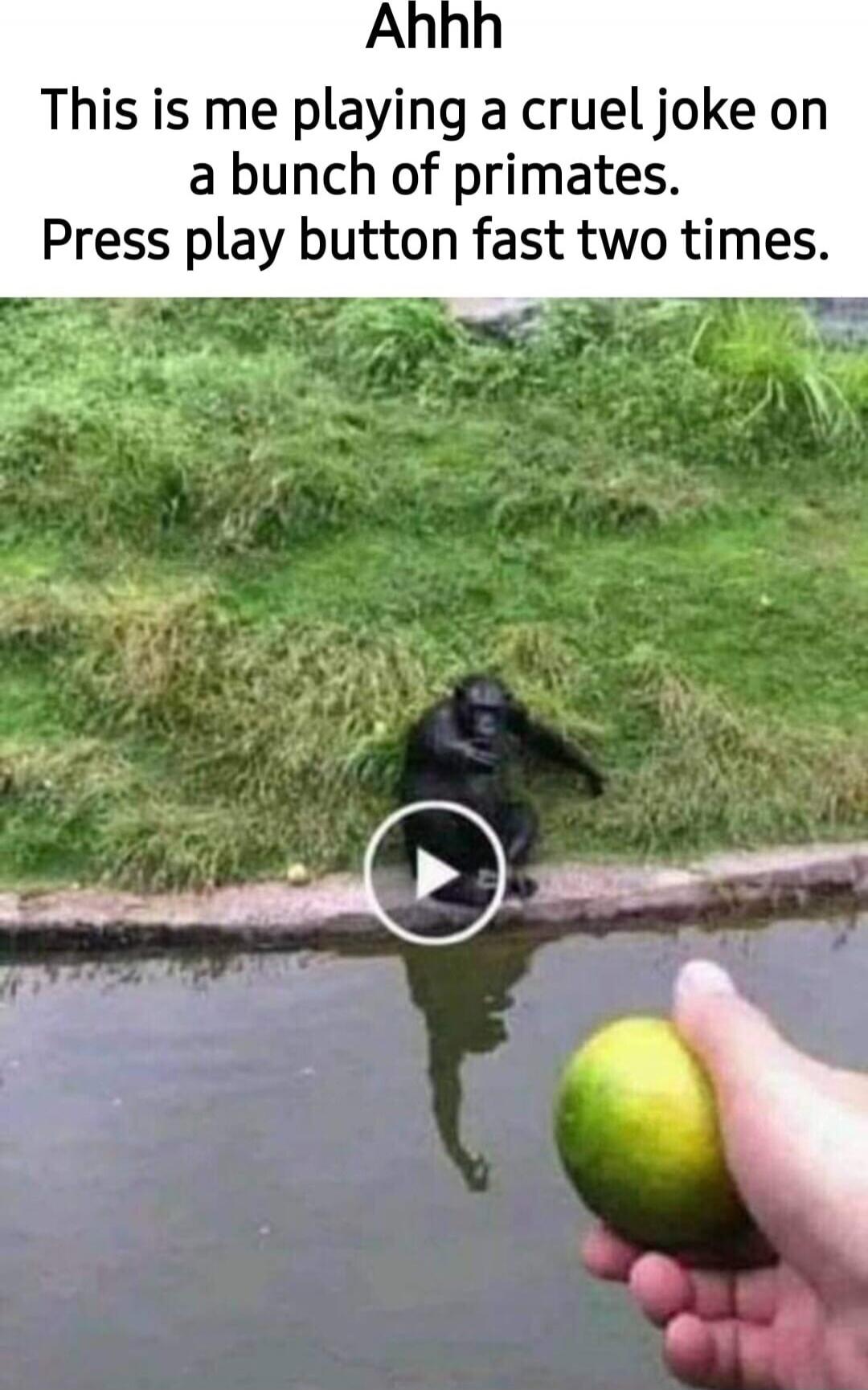 Ahhh This is me playing a cruel joke on a bunch of primates. Press play button fast two times.
