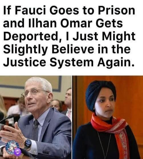 If Fauci Goes to Prison and Ilhan Omar Gets Deported, I Just Might Slightly Believe in the Justice System Again.