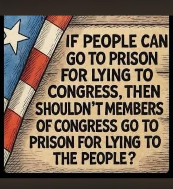IF PEOPLE CAN GO TO PRISON FOR LYING TO CONGRESS, THEN SHOULDN'T MEMBERS OF CONGRESS GO TO PRISON FOR LYING TO THE PEOPLE?