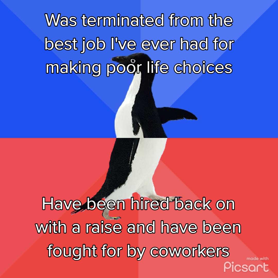 WS il N e ie best job lveleverhadifor making pod lifelchoices Have benihitedibackion WilpehESEhe ieve e iielUfeaiciieIfo COWITETS Picsart