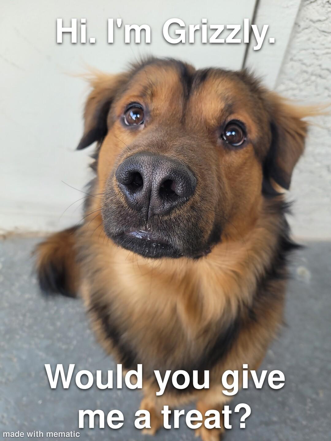 ould you give mea treat