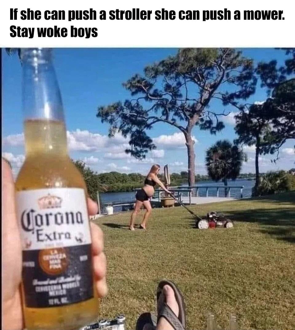 f she can push a stroller she can push a mower Stay woke boys