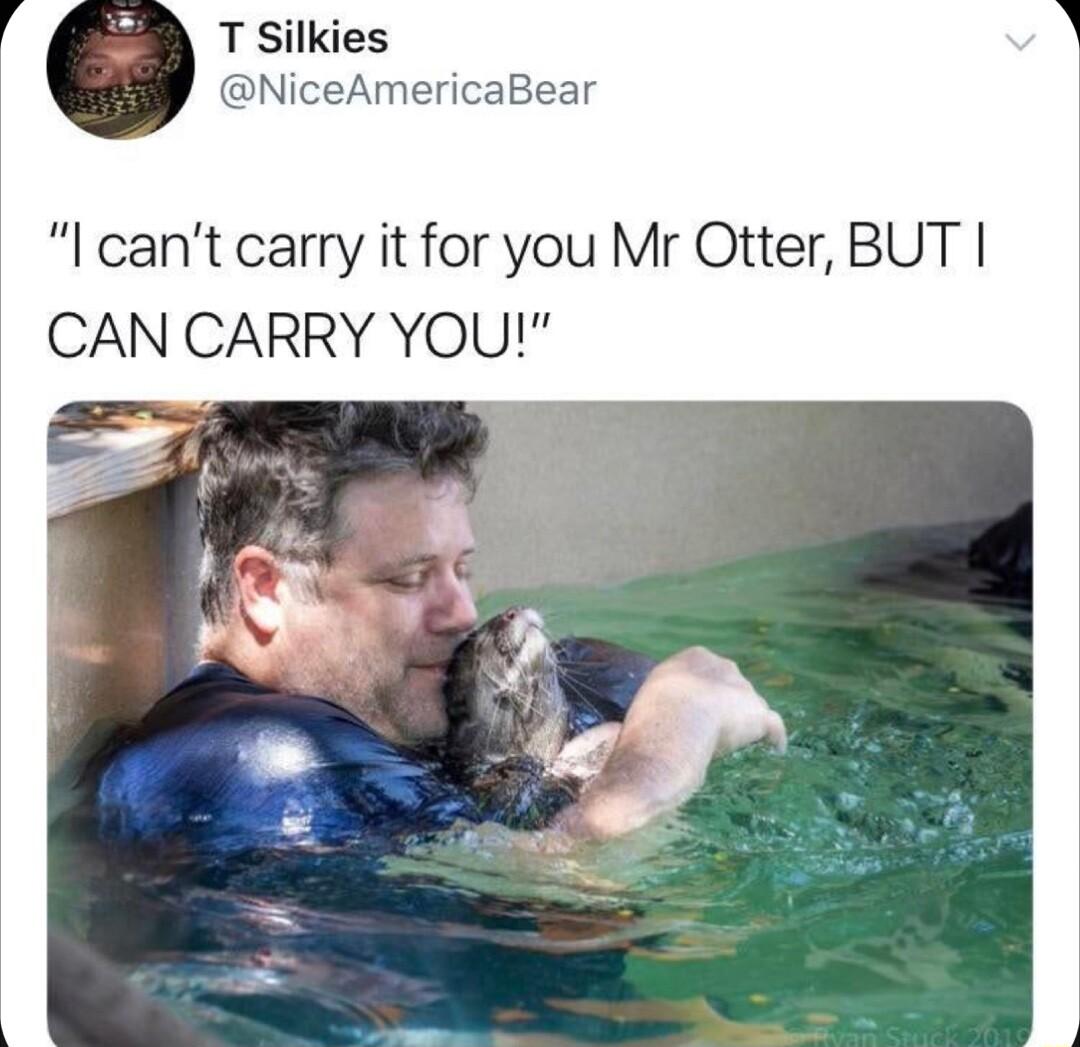T Silkies NiceAmericaBear I cant carry it for you Mr Otter BUT CAN CARRY YOU