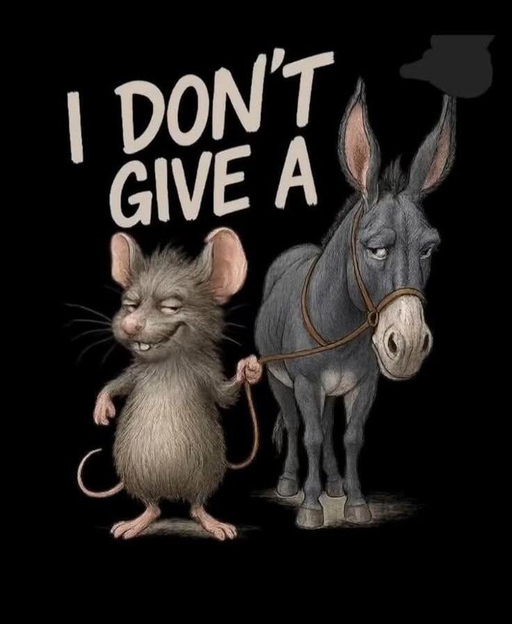 I DON'T GIVE A
