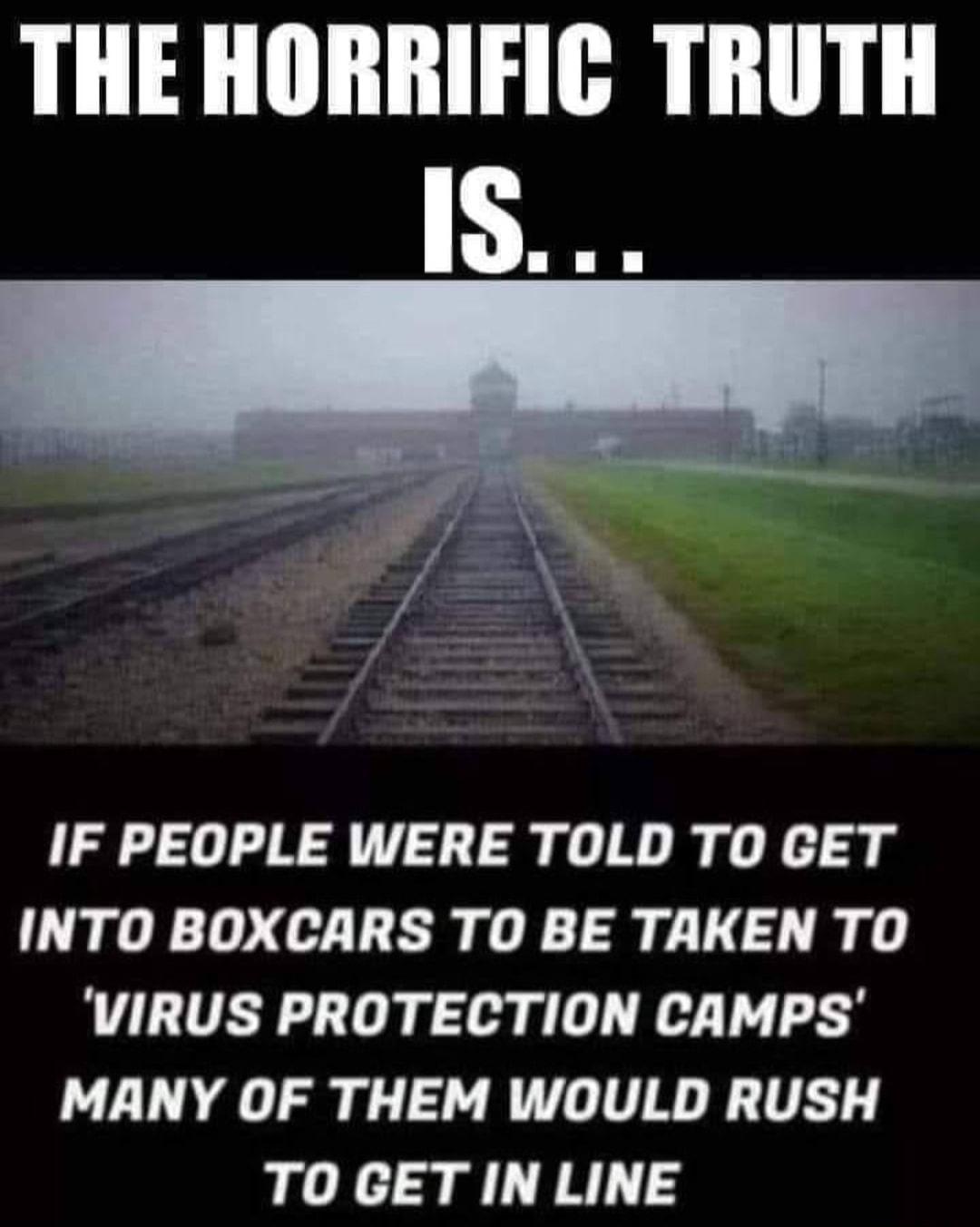 THE HORRIFIC TRUTH IF PEOPLE WERE TOLD TO GET INTO BOXCARS TOBE TAKENTO VIRUS PROTECTION CAMPS MANY OF THEM WOULD RUSH TO GET IN LINE