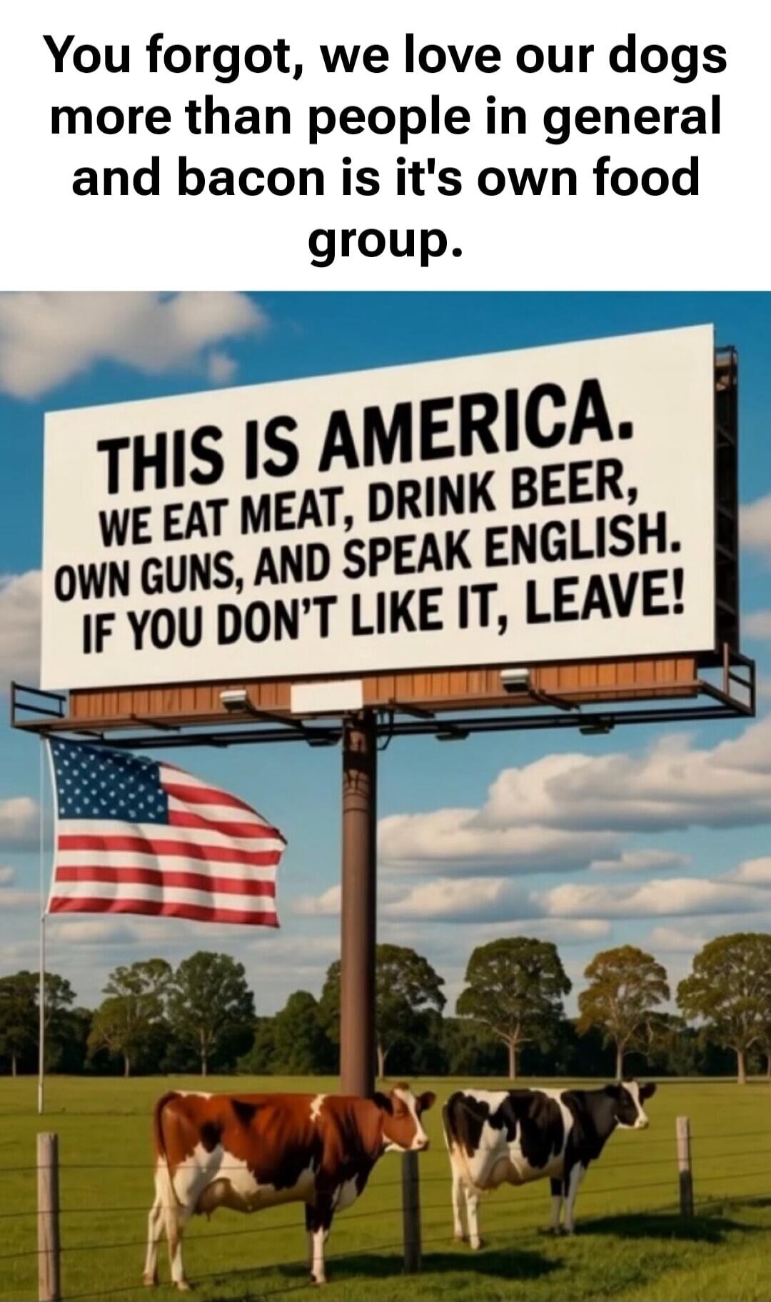 You forgot, we love our dogs more than people in general and bacon is it's own food group.

THIS IS AMERICA. WE EAT MEAT, DRINK BEER, OWN GUNS, AND SPEAK ENGLISH. IF YOU DON’T LIKE IT, LEAVE!