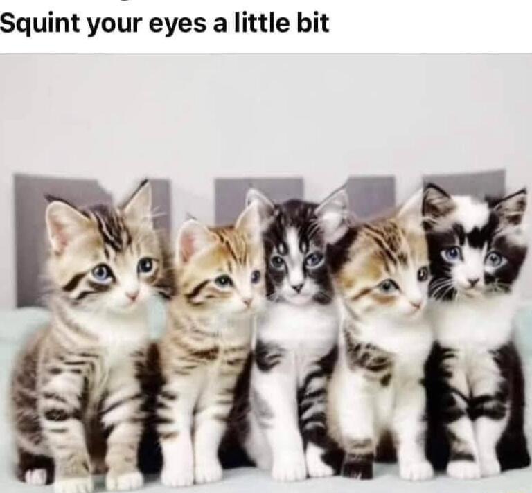 Squint your eyes a little bit YU SHTCH