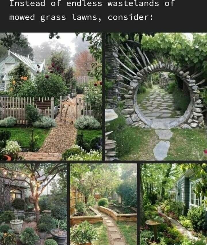 Instead ot endless wastelands of T IS EE EVT S B T Yl 3