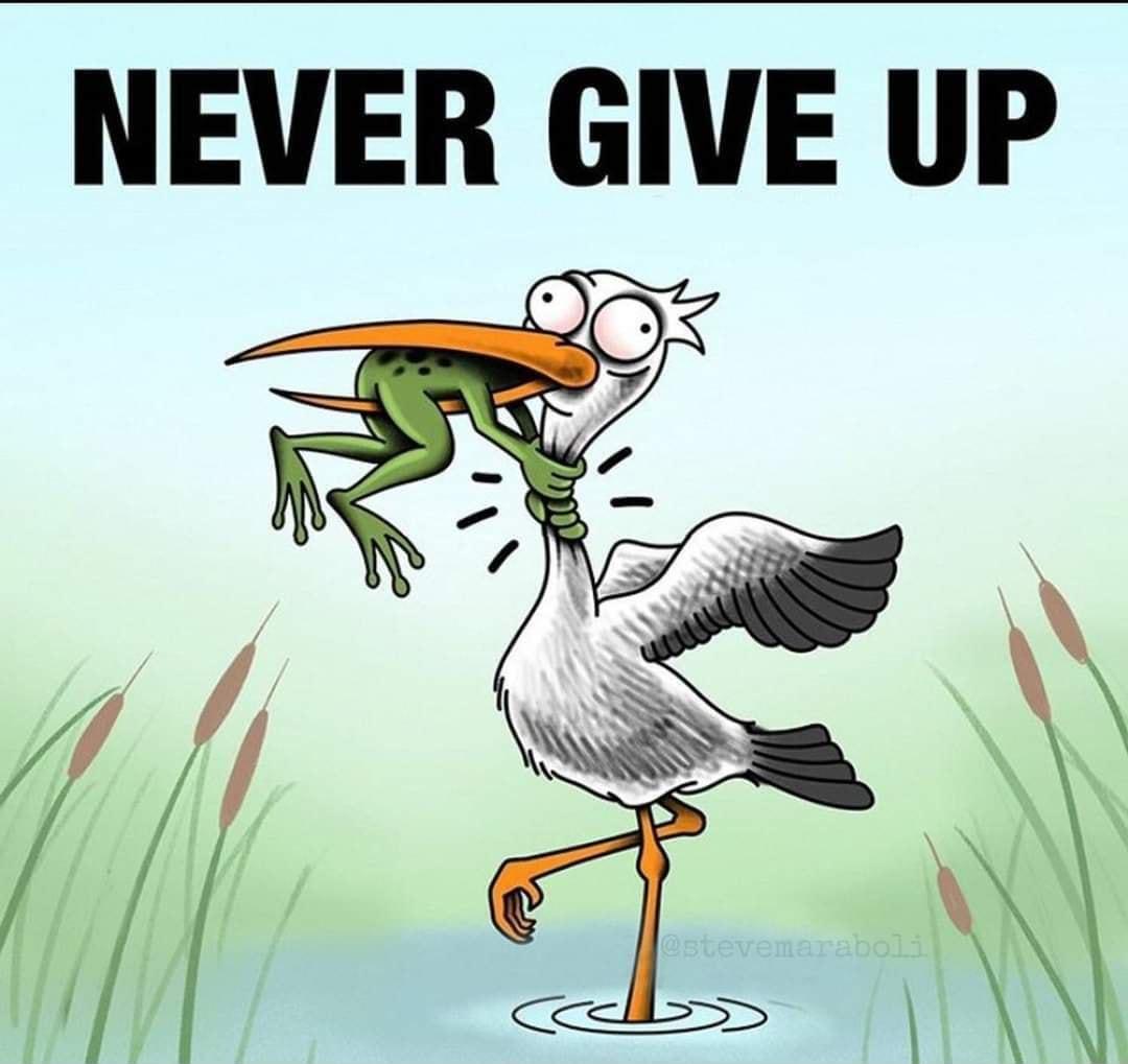 NEVER GIVE UP