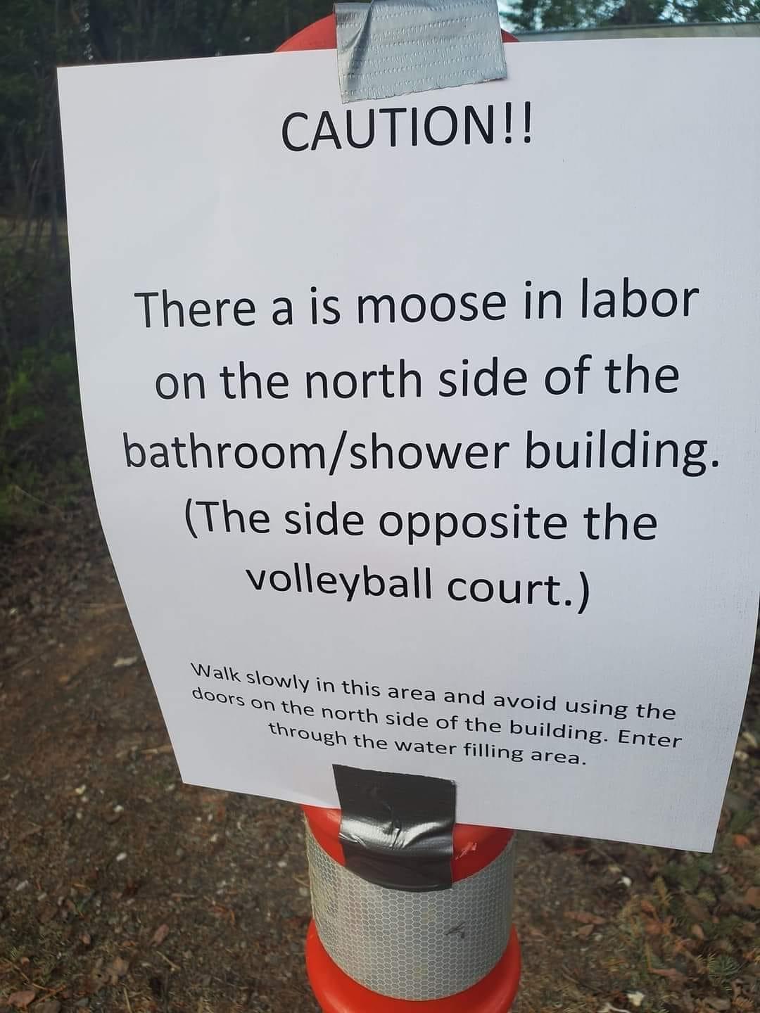 Wi CAUTION There a is moose in labor on the north side of the bathroomshower building The side opposite the volleyball court u hraJgh e v